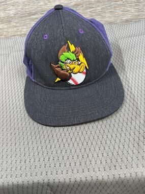 RC Mascot Duck Hat Cap Fitted Mens M Purple Black Baseball Zephyr Logo